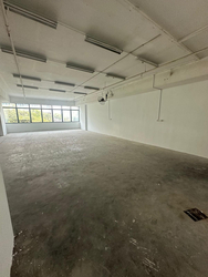 Vertex (D14), Factory #435726641